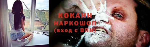 стаф Осинники