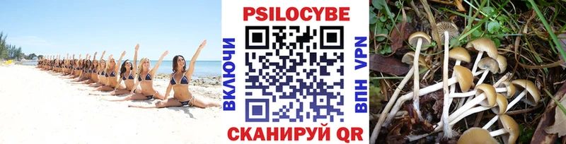 Псилоцибиновые грибы Magic Shrooms  магазин    Нязепетровск 